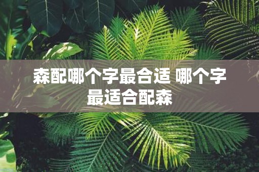 森配哪个字最合适 哪个字最适合配森