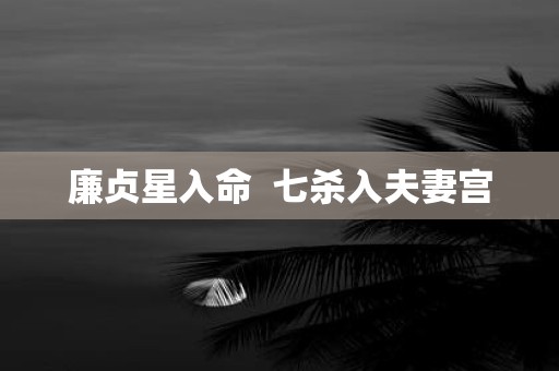 廉贞星入命 七杀入夫妻宫