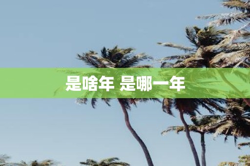 是啥年 是哪一年