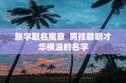 朕字取名寓意 男孩聪明才华横溢的名字