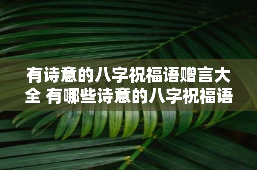 有诗意的八字祝福语赠言大全 有哪些诗意的八字祝福语赠言
