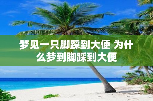 梦见一只脚踩到大便 为什么梦到脚踩到大便