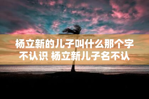 杨立新的儿子叫什么那个字不认识 杨立新儿子名不认识