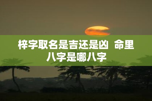 梓字取名是吉还是凶 命里八字是哪八字
