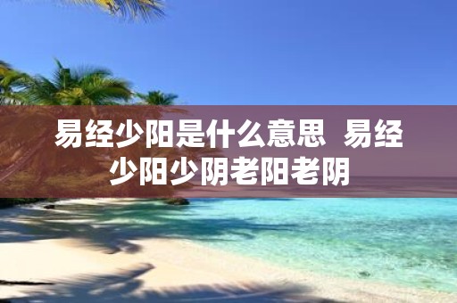 易经少阳是什么意思 易经少阳少阴老阳老阴