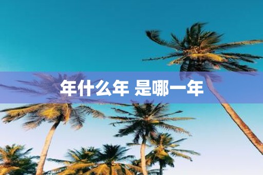 年什么年 是哪一年