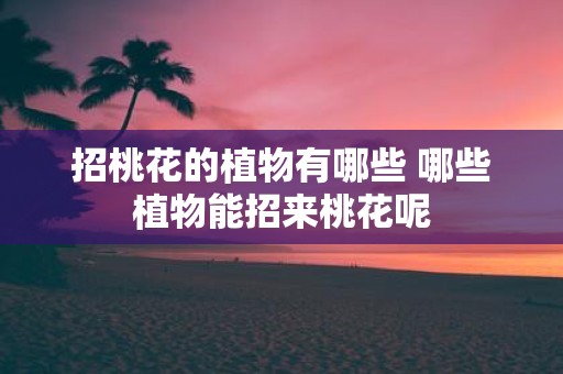招桃花的植物有哪些 哪些植物能招来桃花呢