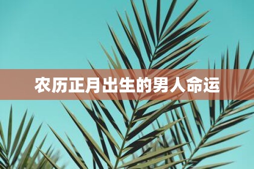 农历正月出生的男人命运