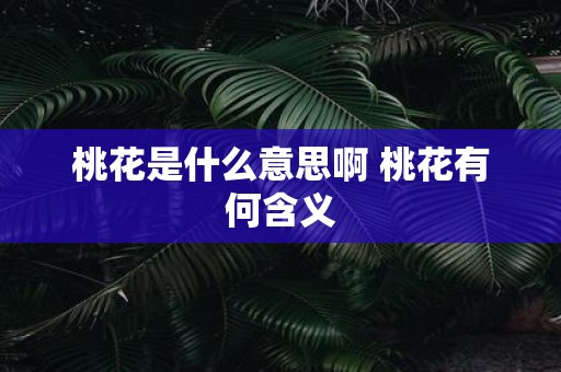 桃花是什么意思啊 桃花有何含义