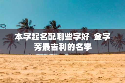 本字起名配哪些字好 金字旁最吉利的名字