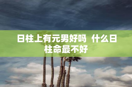 日柱上有元男好吗 什么日柱命最不好