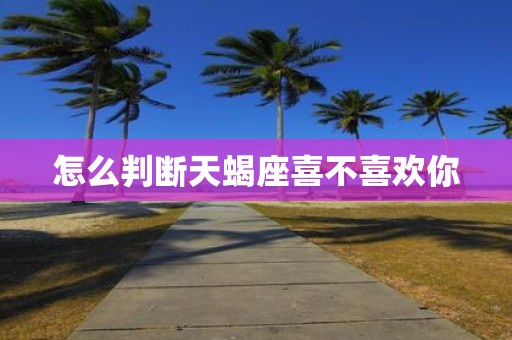怎么判断天蝎座喜不喜欢你