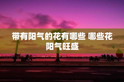带有阳气的花有哪些 哪些花阳气旺盛