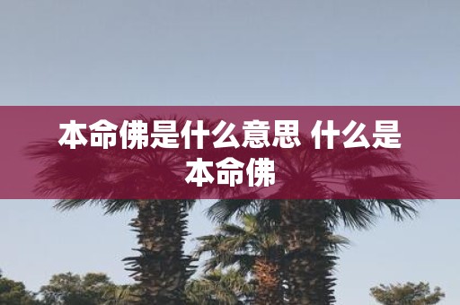 本命佛是什么意思 什么是本命佛