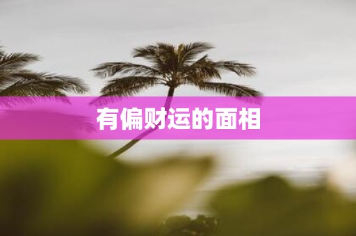 有偏财运的面相