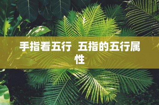手指看五行 五指的五行属性