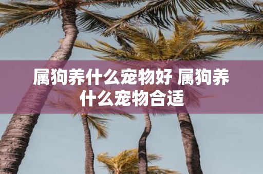 属狗养什么宠物好 属狗养什么宠物合适
