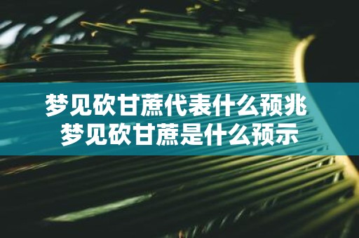 梦见砍甘蔗代表什么预兆 梦见砍甘蔗是什么预示