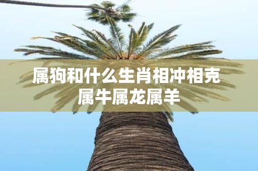 属狗和什么生肖相冲相克 属牛属龙属羊