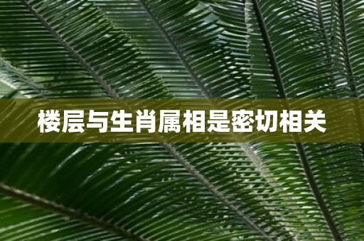 楼层与生肖属相是密切相关