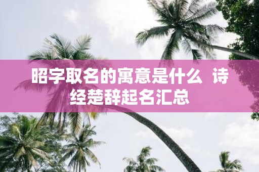 昭字取名的寓意是什么 诗经楚辞起名汇总