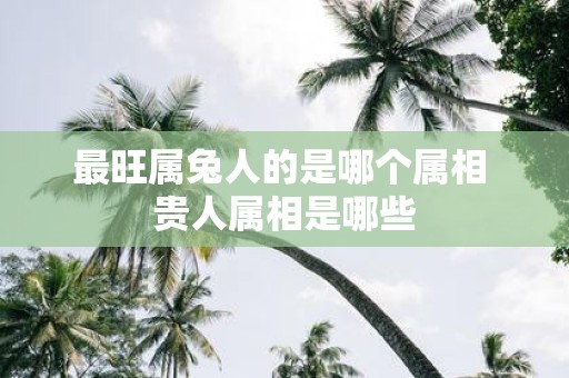 最旺属兔人的是哪个属相 贵人属相是哪些