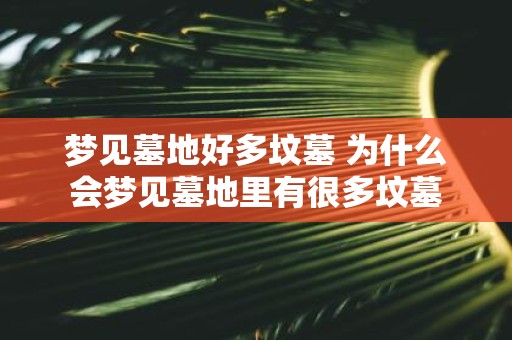 梦见墓地好多坟墓 为什么会梦见墓地里有很多坟墓