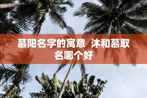 慕阳名字的寓意 沐和慕取名哪个好
