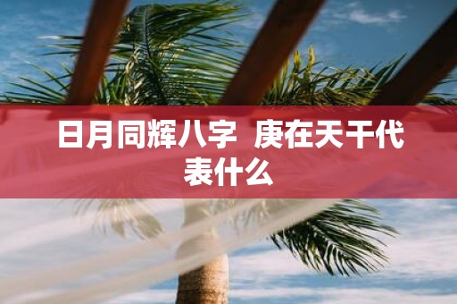 日月同辉八字 庚在天干代表什么