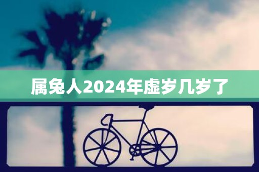 属兔人2025年虚岁几岁了