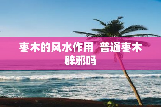 枣木的风水作用 普通枣木辟邪吗