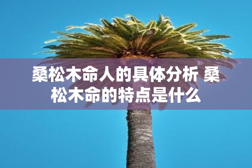 桑松木命人的具体分析 桑松木命的特点是什么