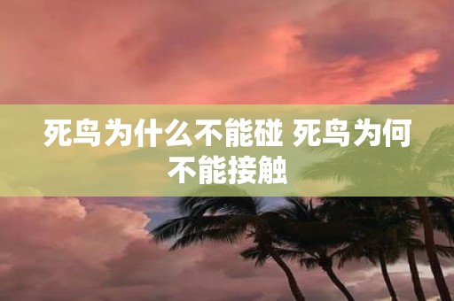 死鸟为什么不能碰 死鸟为何不能接触