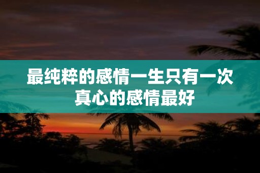 最纯粹的感情一生只有一次 真心的感情最好