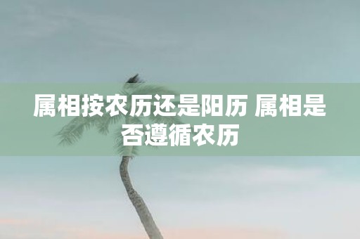 属相按农历还是阳历 属相是否遵循农历
