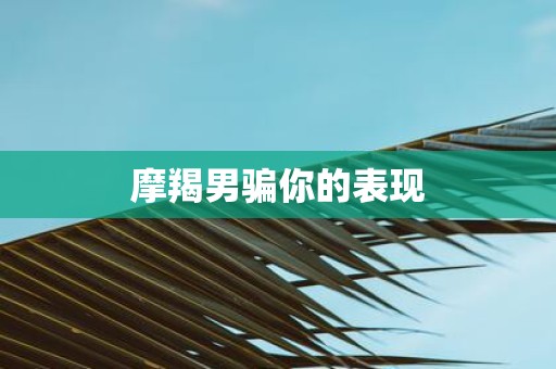 摩羯男骗你的表现
