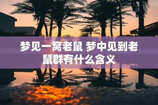 梦见一窝老鼠 梦中见到老鼠群有什么含义