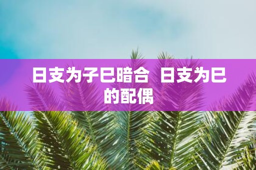 日支为子巳暗合 日支为巳的配偶