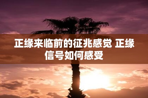 正缘来临前的征兆感觉 正缘信号如何感受