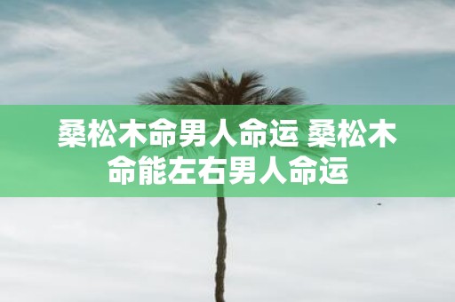 桑松木命男人命运 桑松木命能左右男人命运