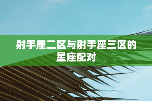 射手座二区与射手座三区的星座配对
