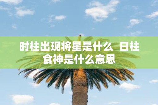 时柱出现将星是什么 日柱食神是什么意思