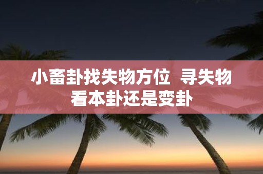小畜卦找失物方位 寻失物看本卦还是变卦