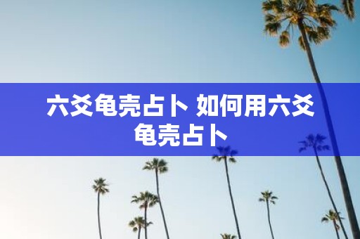 六爻龟壳占卜 如何用六爻龟壳占卜