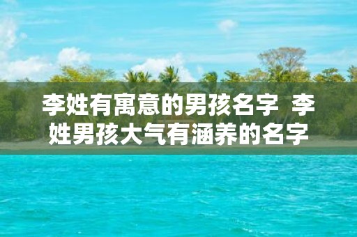 李姓有寓意的男孩名字 李姓男孩大气有涵养的名字