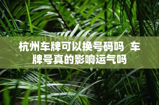 杭州车牌可以换号码吗 车牌号真的影响运气吗