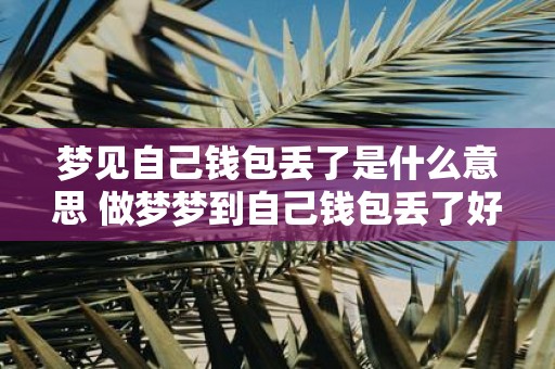 梦见自己钱包丢了是什么意思 做梦梦到自己钱包丢了好不好