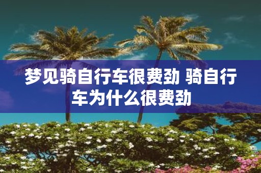 梦见骑自行车很费劲 骑自行车为什么很费劲