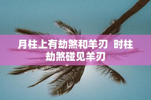 月柱上有劫煞和羊刃 时柱劫煞碰见羊刃
