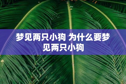 梦见两只小狗 为什么要梦见两只小狗
